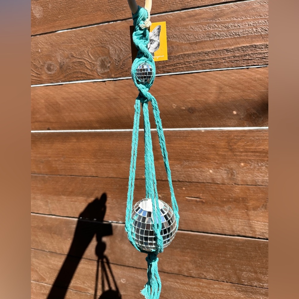 CLEARANCE Aqua Double the Disco Air Plant Hanger